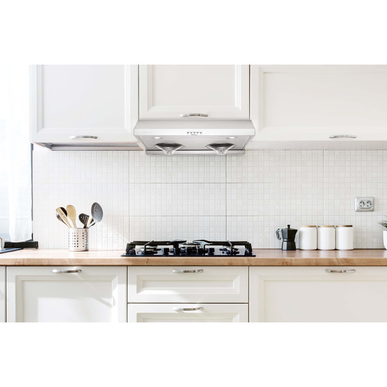 Hauslane 30" Stainless Steel Under Cabinet Range Hood with Charcoal Filter