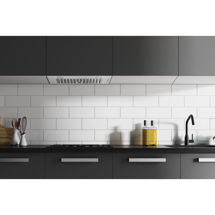 Hauslane 30" Stainless Steel Convertible Insert Range Hood with Charcoal Filter