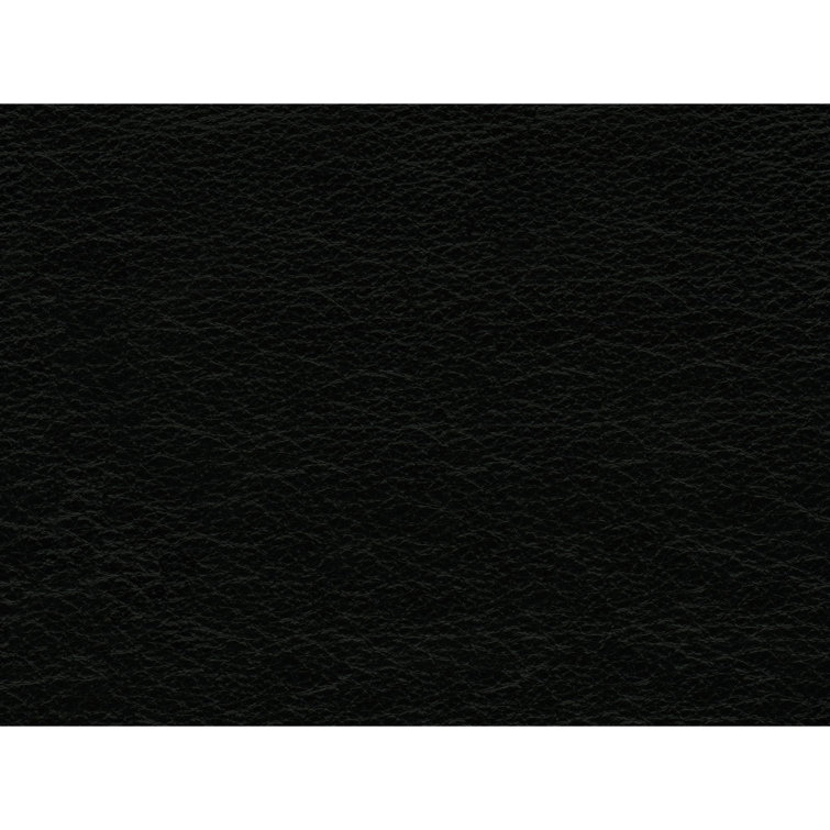 Hanson Contemporary Black Genuine Leather Loveseat with Wooden Legs