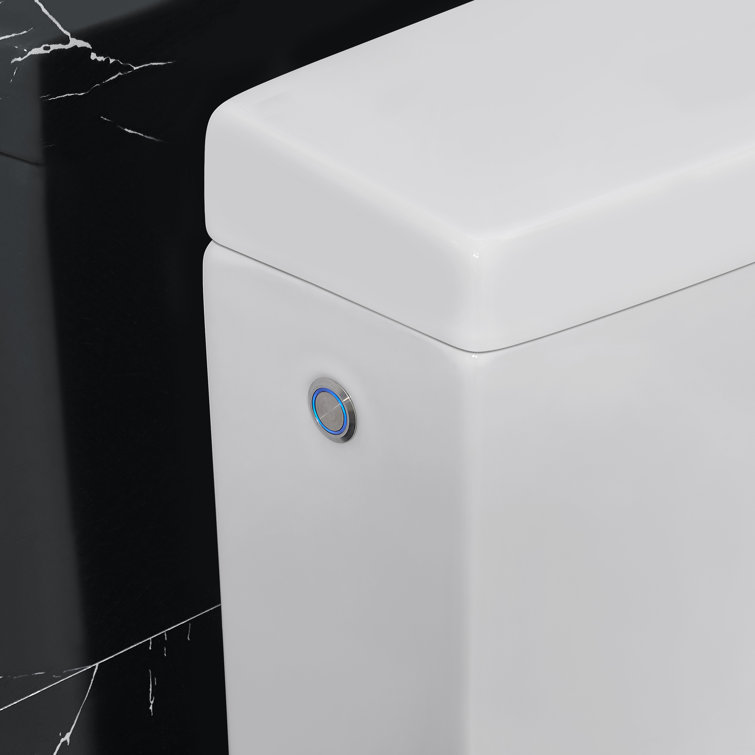 Wilma White High Efficiency Elongated Two Piece Bidet Toilet