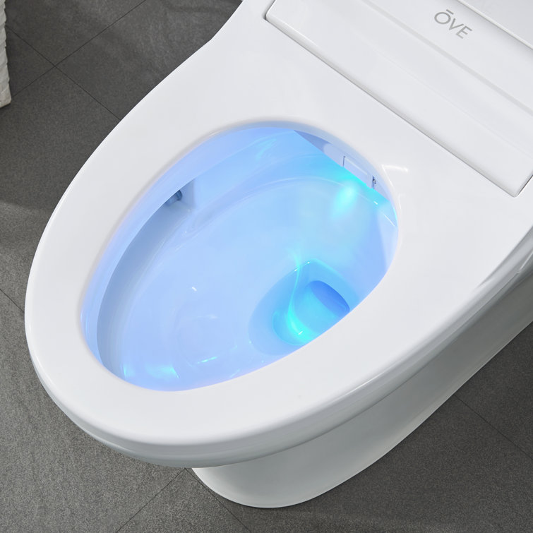 Wilma White High Efficiency Elongated Two Piece Bidet Toilet