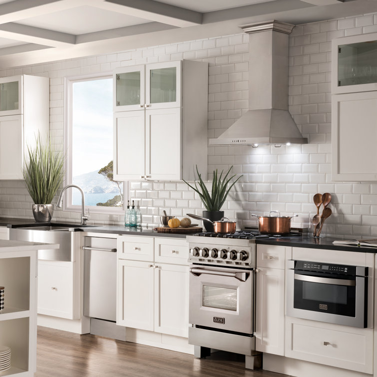 24" Stainless Steel Convertible Wall Mount Range Hood with Charcoal Filter