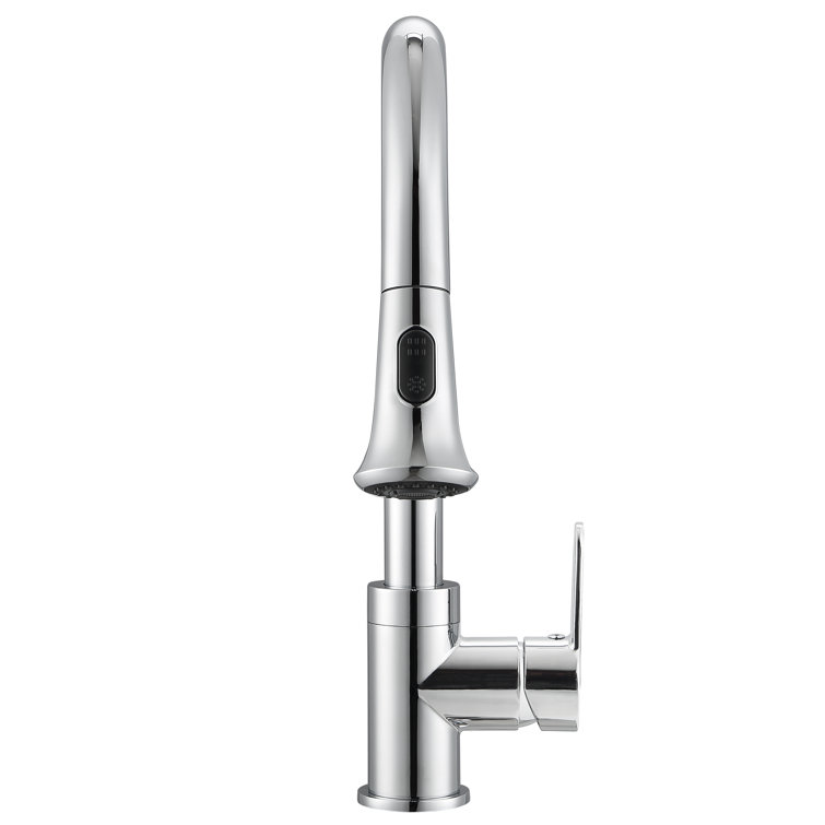 Chrome Single Handle Pull-Down Kitchen Faucet with Spray