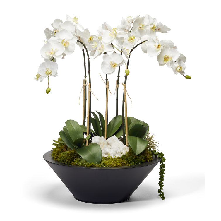 White Orchid and Succulent Centerpiece in Brown Metal Pot