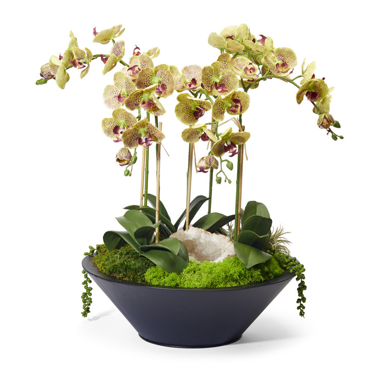 Green Faux Silk Orchid Arrangement in Black Metal Planter