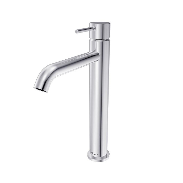 Lulani Chrome Single Hole Bathroom Faucet with Drain Assembly