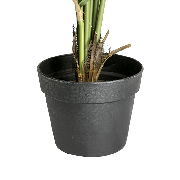 56'' Green Plastic Potted Artificial Palm Floor Plant