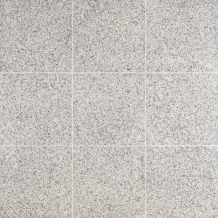 Tarboro 16" Beige Polished Terrazzo Floor and Wall Tile