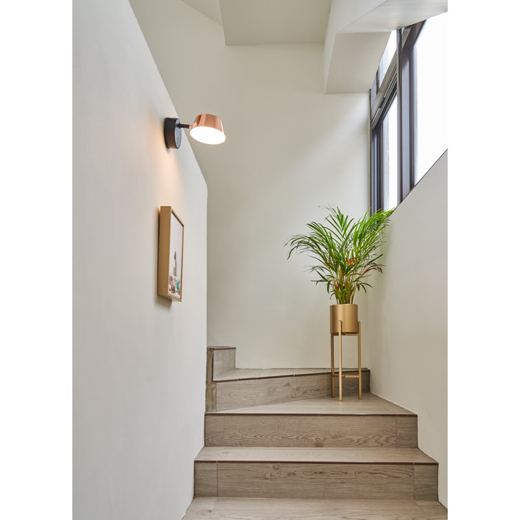 Olo Dimmable LED Wall Sconce in Black and Shiny Copper