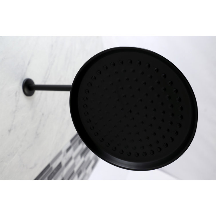Matte Black 10-Inch Round Rain Shower Head with 17-Inch Arm