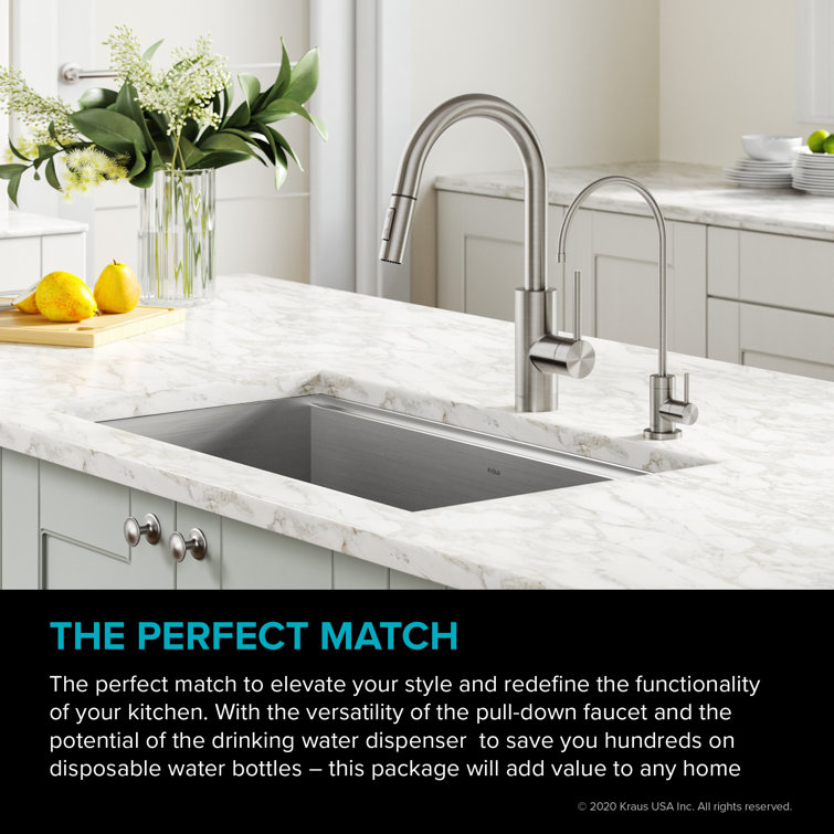 Spot Free Stainless Steel Pull-Down Kitchen Faucet with Water Filter