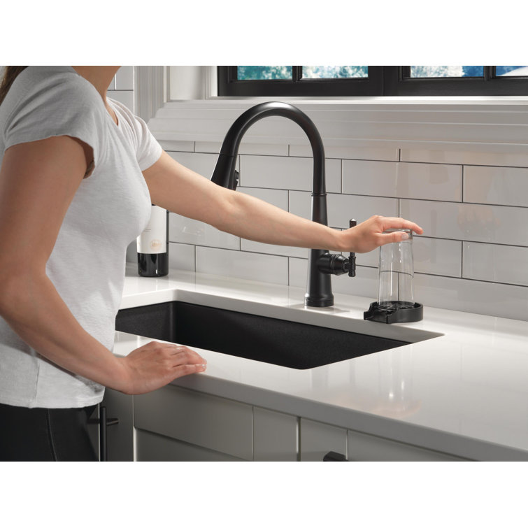 Matte Black Stainless Steel Glass Rinser with Pull-out Spray