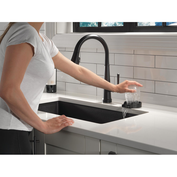 Matte Black Stainless Steel Glass Rinser with Pull-out Spray
