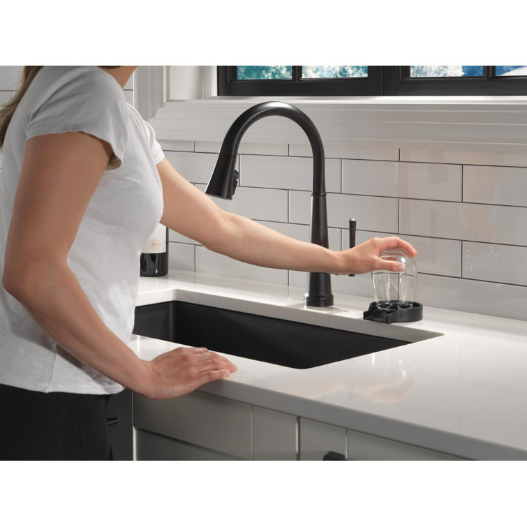 Matte Black Stainless Steel Glass Rinser with Pull-out Spray