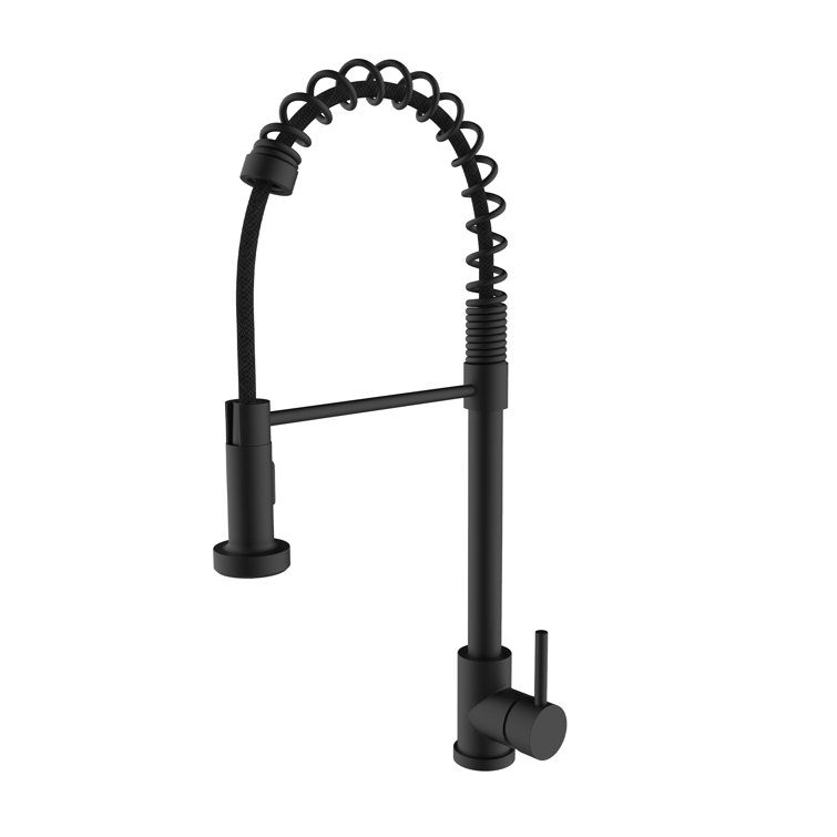 Black Stainless Steel Pull-Out Spray Kitchen Faucet