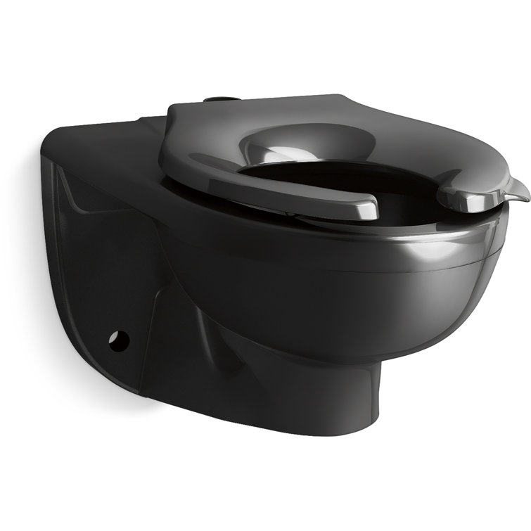 Black Ceramic Wall-Mounted Flushometer Toilet Bowl