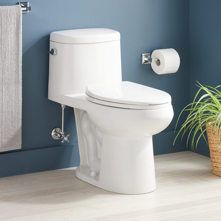 Sarasota White Porcelain One-Piece Elongated Toilet