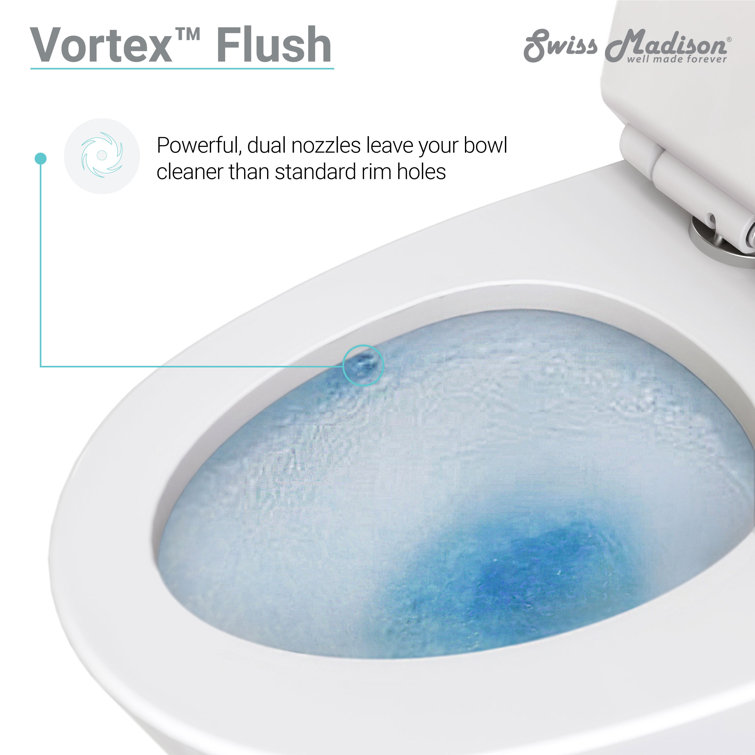 Matte White One-Piece Elongated Dual-Flush Toilet