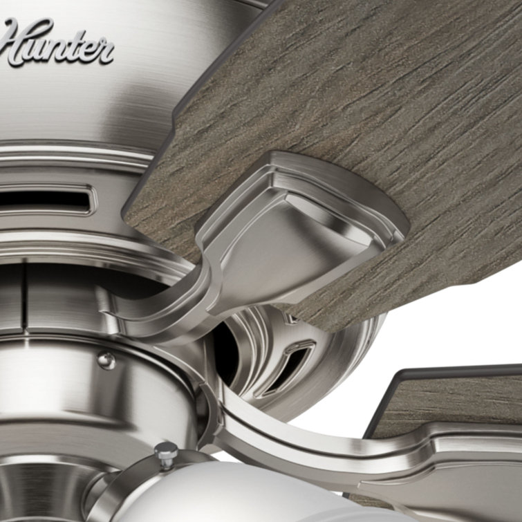 Hunter Amberlin 52" Brushed Nickel LED Ceiling Fan with Reversible Blades