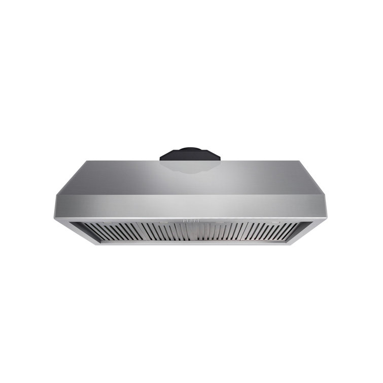 48" Stainless Steel Wall Mounted Range Hood with Charcoal Filter