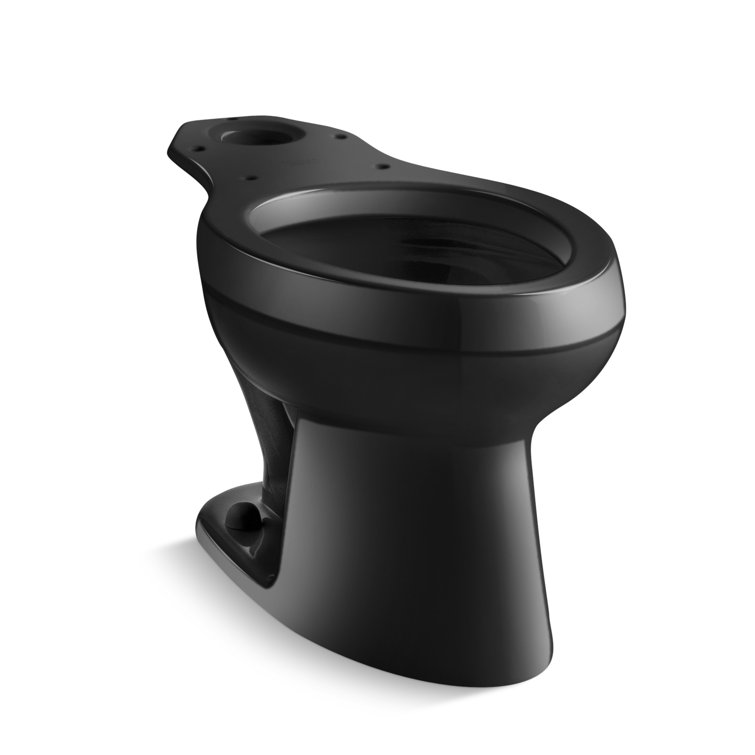 Wellworth 1.6 GPF Elongated Pressure Lite Toilet Bowl in Black