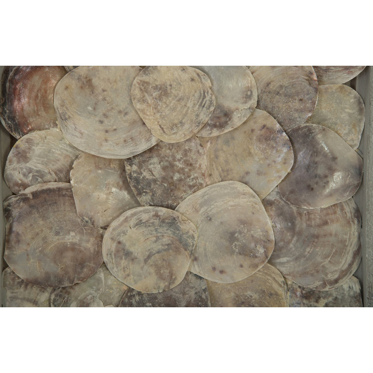 Natural Shells in Gray Wood Square Wall Art