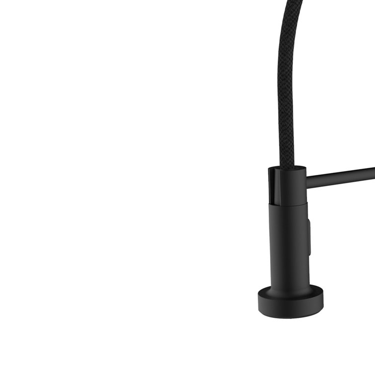 Black Stainless Steel Pull-Out Spray Kitchen Faucet
