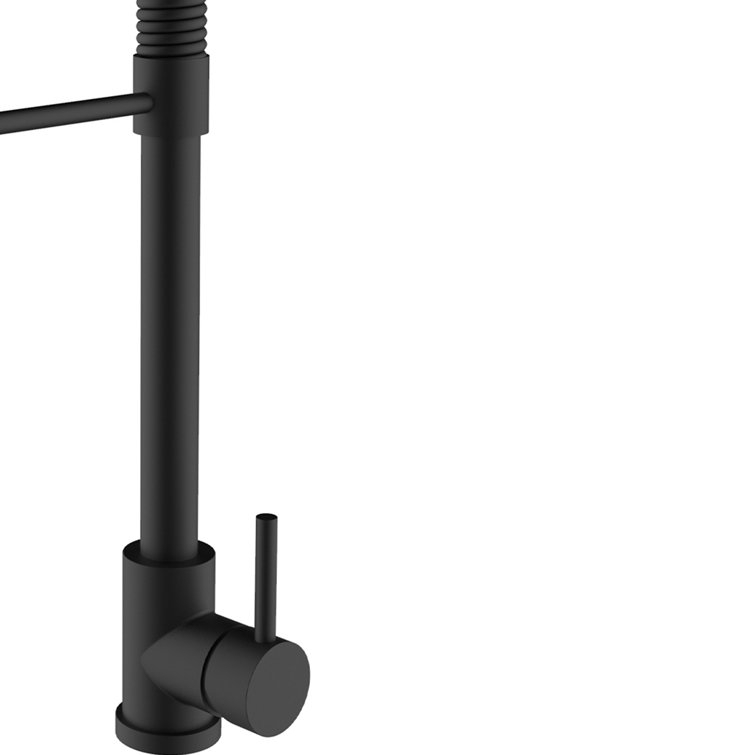 Black Stainless Steel Pull-Out Spray Kitchen Faucet