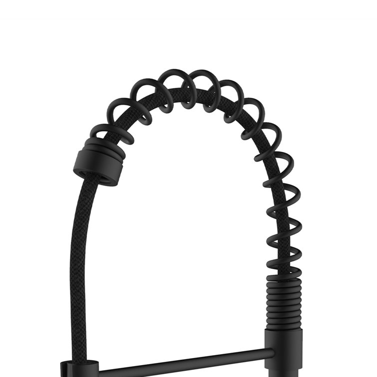 Black Stainless Steel Pull-Out Spray Kitchen Faucet