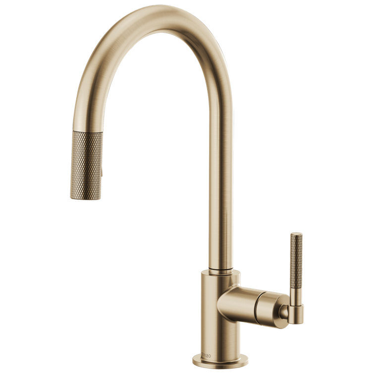 Luxe Gold Brass Pull-Down Kitchen Faucet with Spray