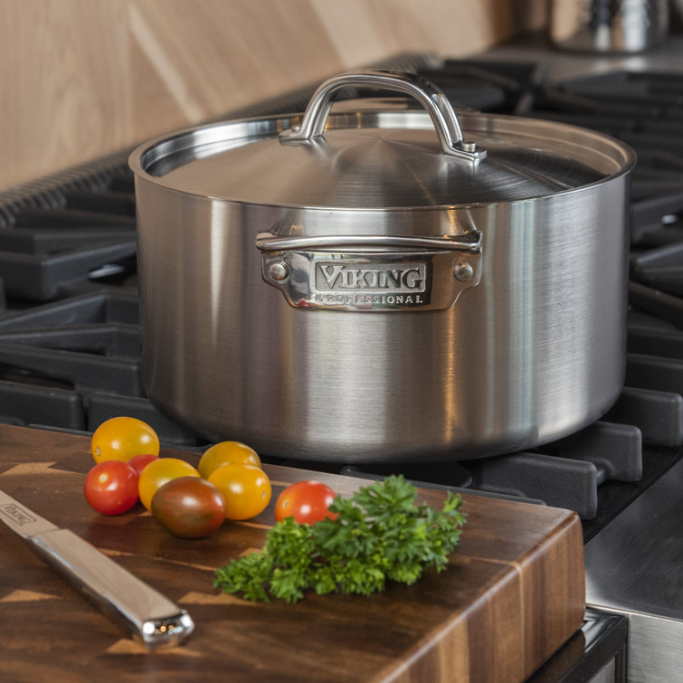 6-Quart Brushed Stainless Steel Stockpot with Lid