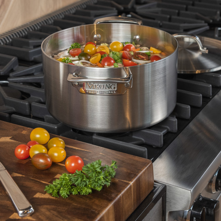 6-Quart Brushed Stainless Steel Stockpot with Lid
