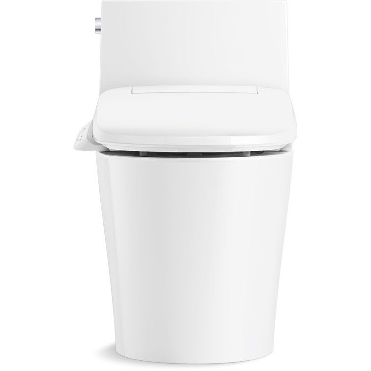 Veil White Elongated Dual-Flush One-Piece Toilet