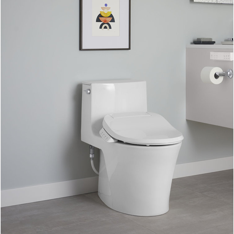 Veil White Elongated Dual-Flush One-Piece Toilet