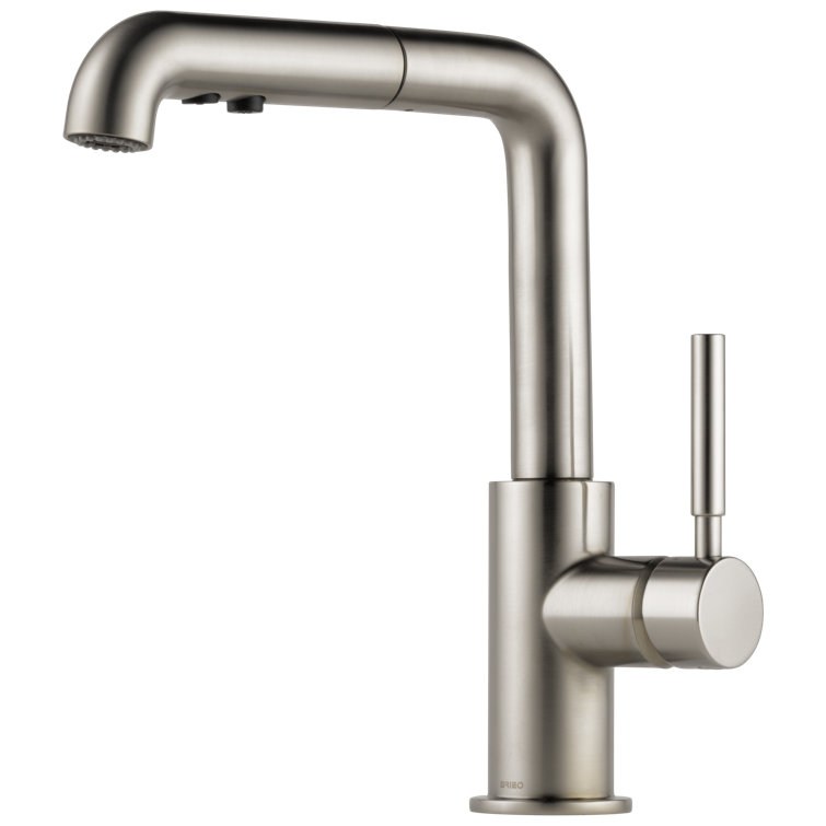 Stainless Steel Modern Pull-Out Spray Kitchen Faucet