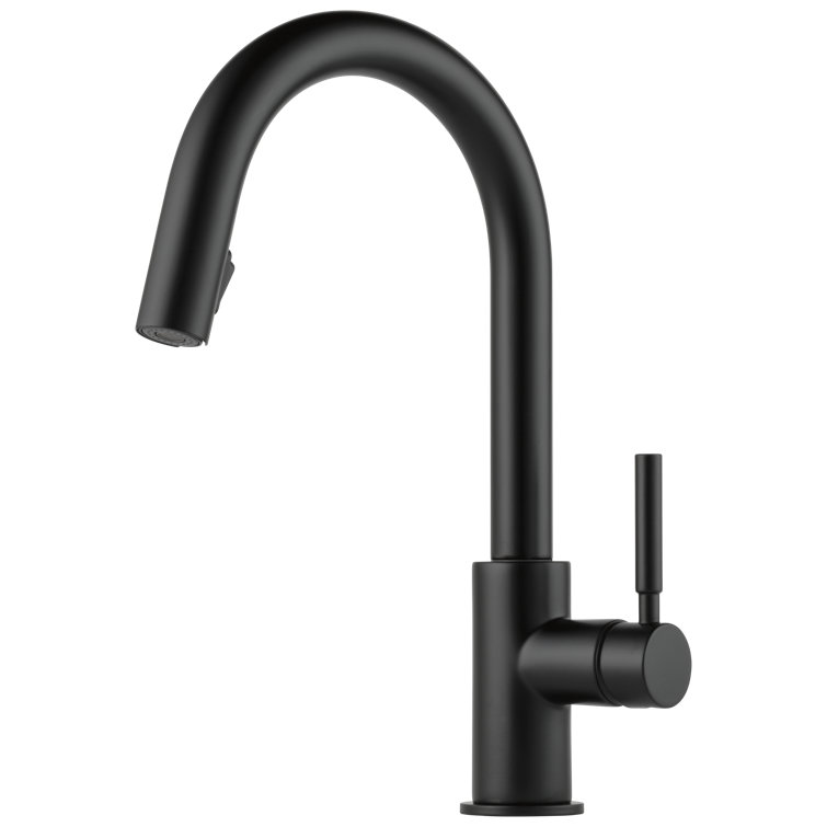 Matte Black Modern Pull-Down Kitchen Faucet with Spray