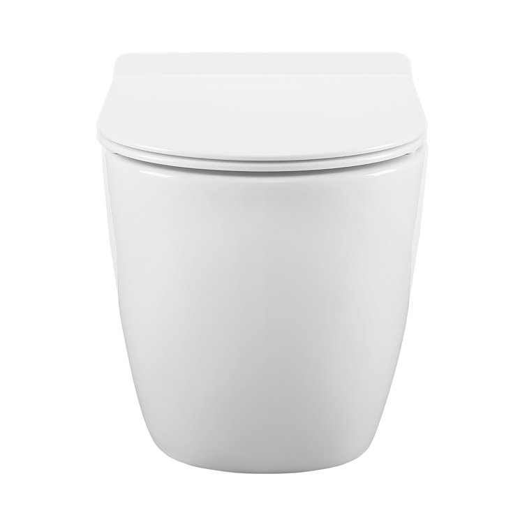 White Wall-Mounted Dual Flush Elongated Toilet