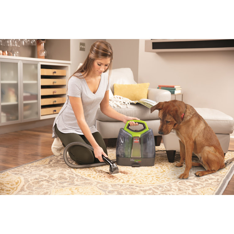 Bissell Green Portable Handheld Upholstery Steamer Cleaner