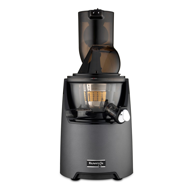 Gun Metal Slow Masticating Juicer with Leather Finish
