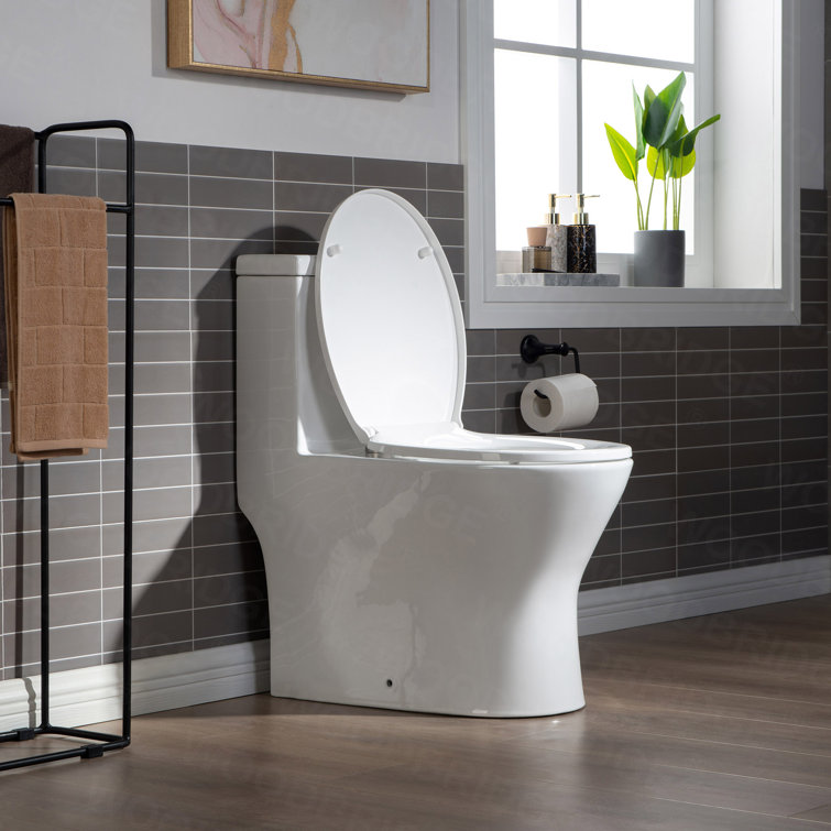 White Elongated Dual-Flush High Efficiency Toilet with Soft-Closing Seat