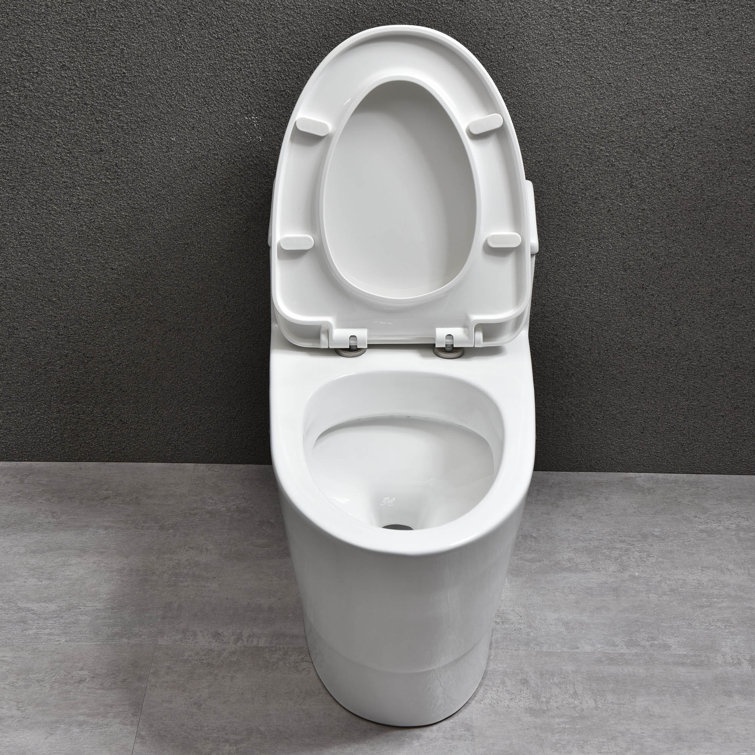 White Elongated One-Piece Dual Flush Toilet with Chrome Button