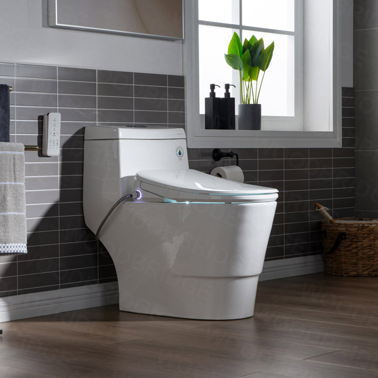 White Porcelain One-Piece Elongated Dual Flush Toilet with Smart Bidet Seat