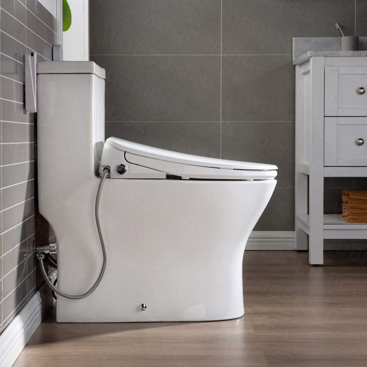 White Porcelain Elongated One-Piece Dual Flush Toilet with Smart Bidet