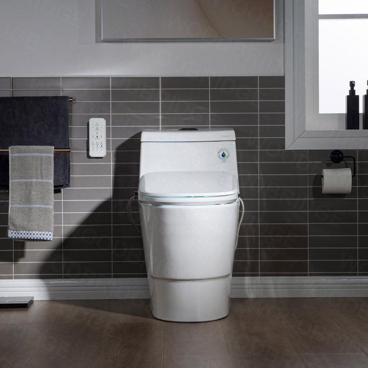 White Porcelain One-Piece Elongated Dual Flush Toilet with Smart Bidet Seat
