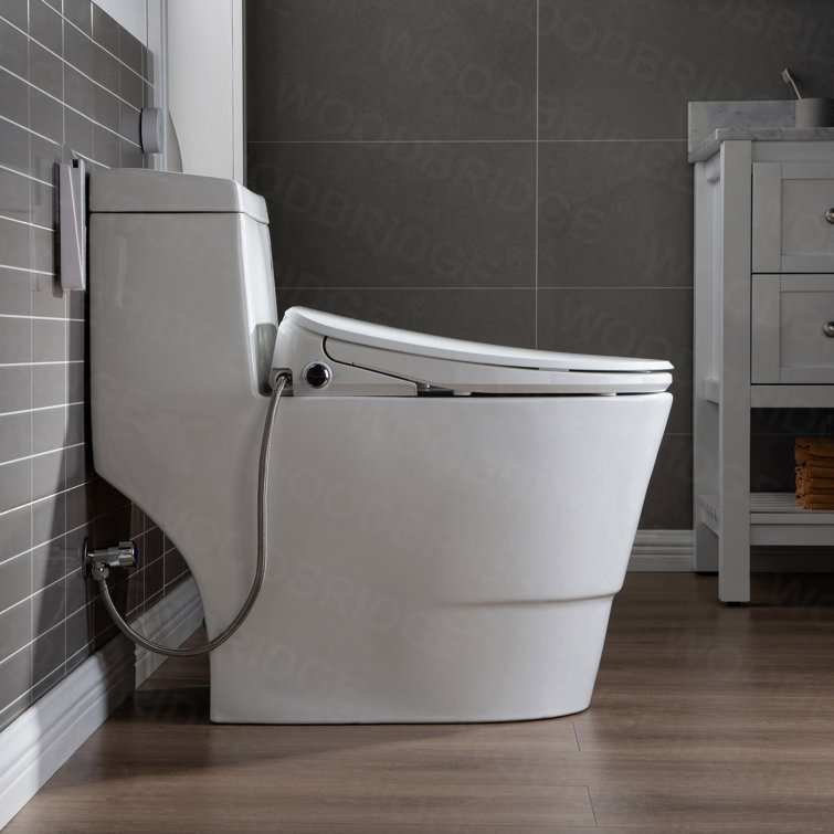 White Porcelain One-Piece Elongated Dual Flush Toilet with Smart Bidet Seat