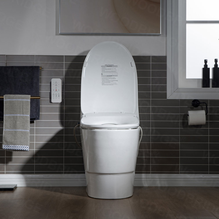 White Porcelain One-Piece Elongated Dual Flush Toilet with Smart Bidet Seat