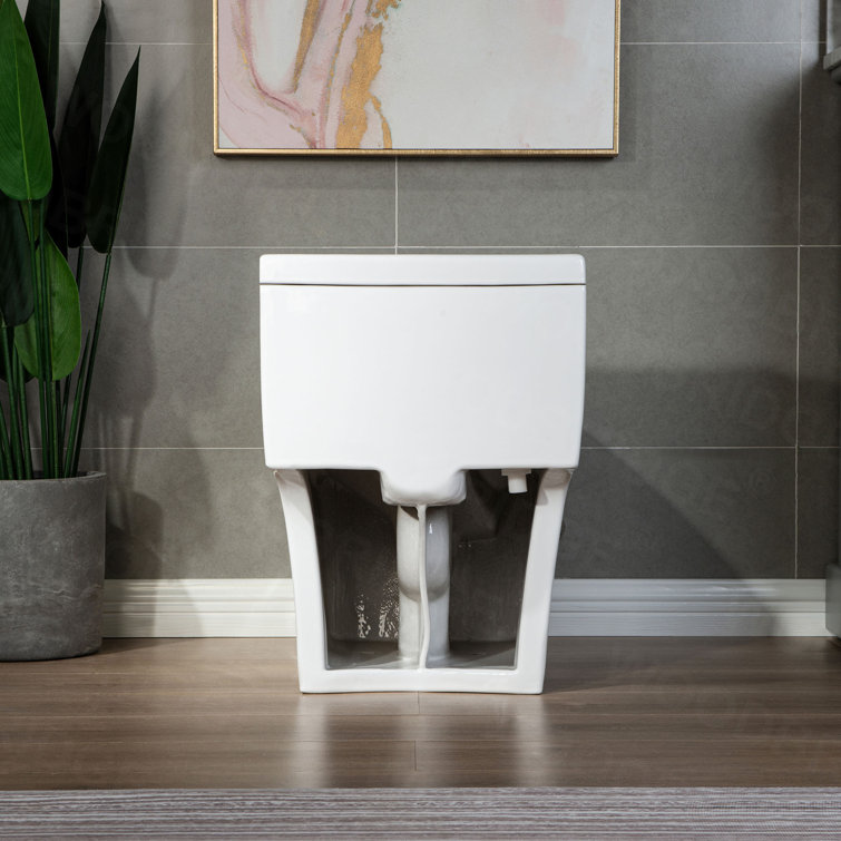White Ceramic One-Piece Dual Flush Toilet with Chrome Button