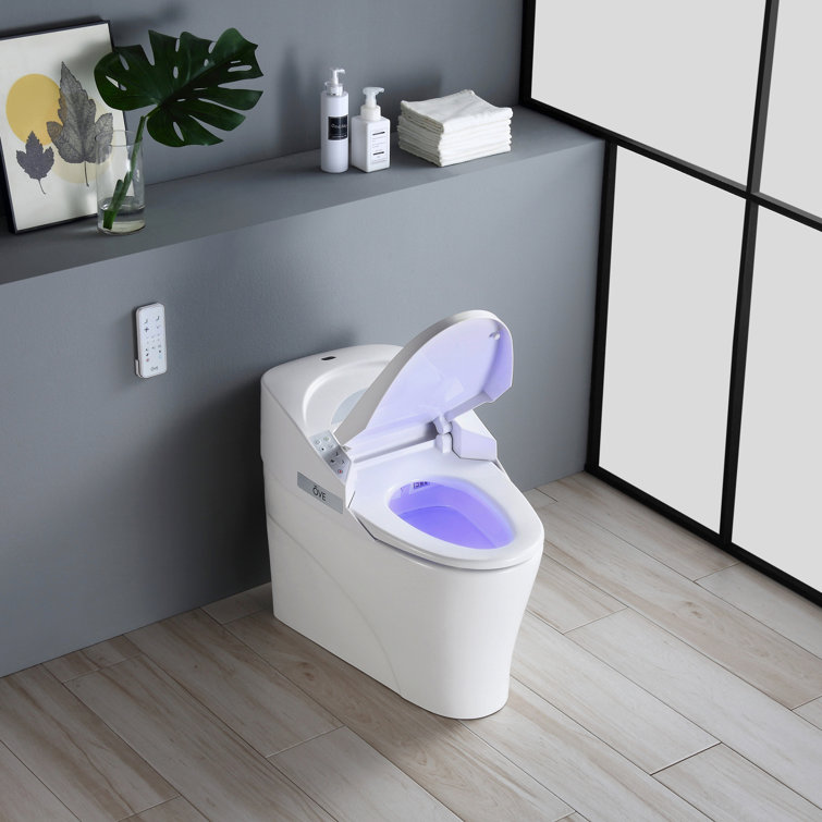 White High Efficiency One-Piece Smart Bidet Toilet with Remote Control