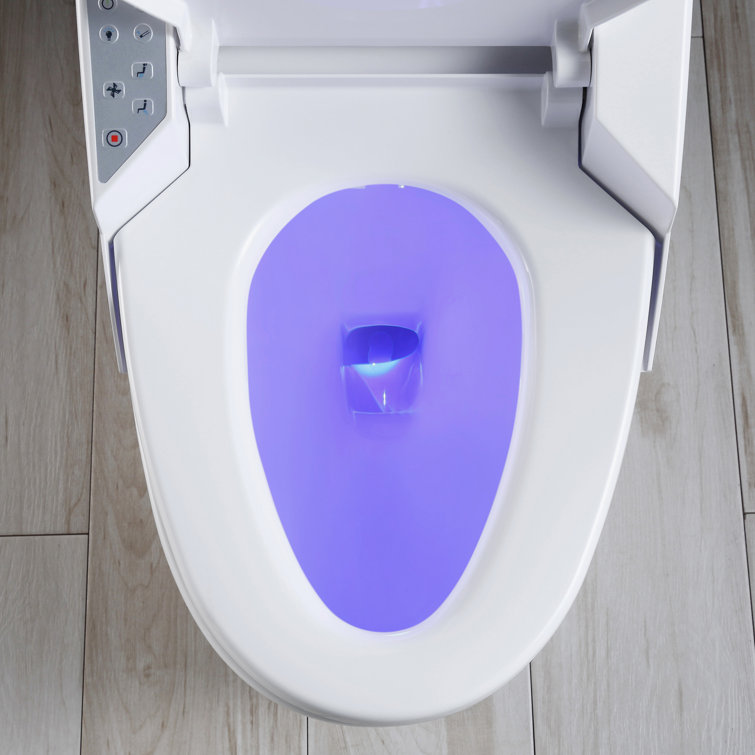 White High Efficiency One-Piece Smart Bidet Toilet with Remote Control