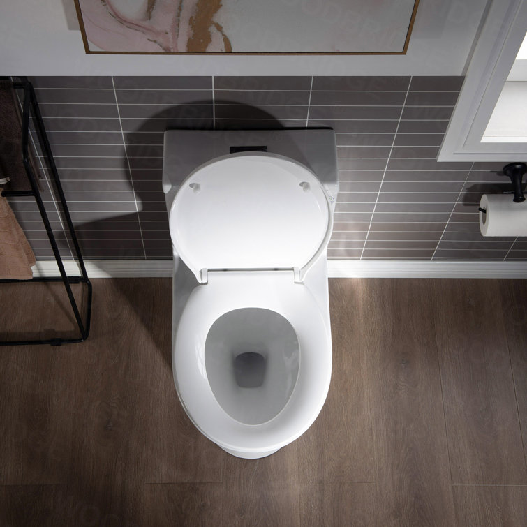 White Elongated Dual-Flush High Efficiency Toilet with Soft-Closing Seat